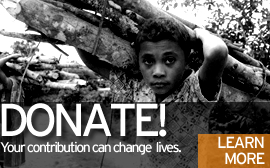 donate