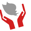 volunteer
